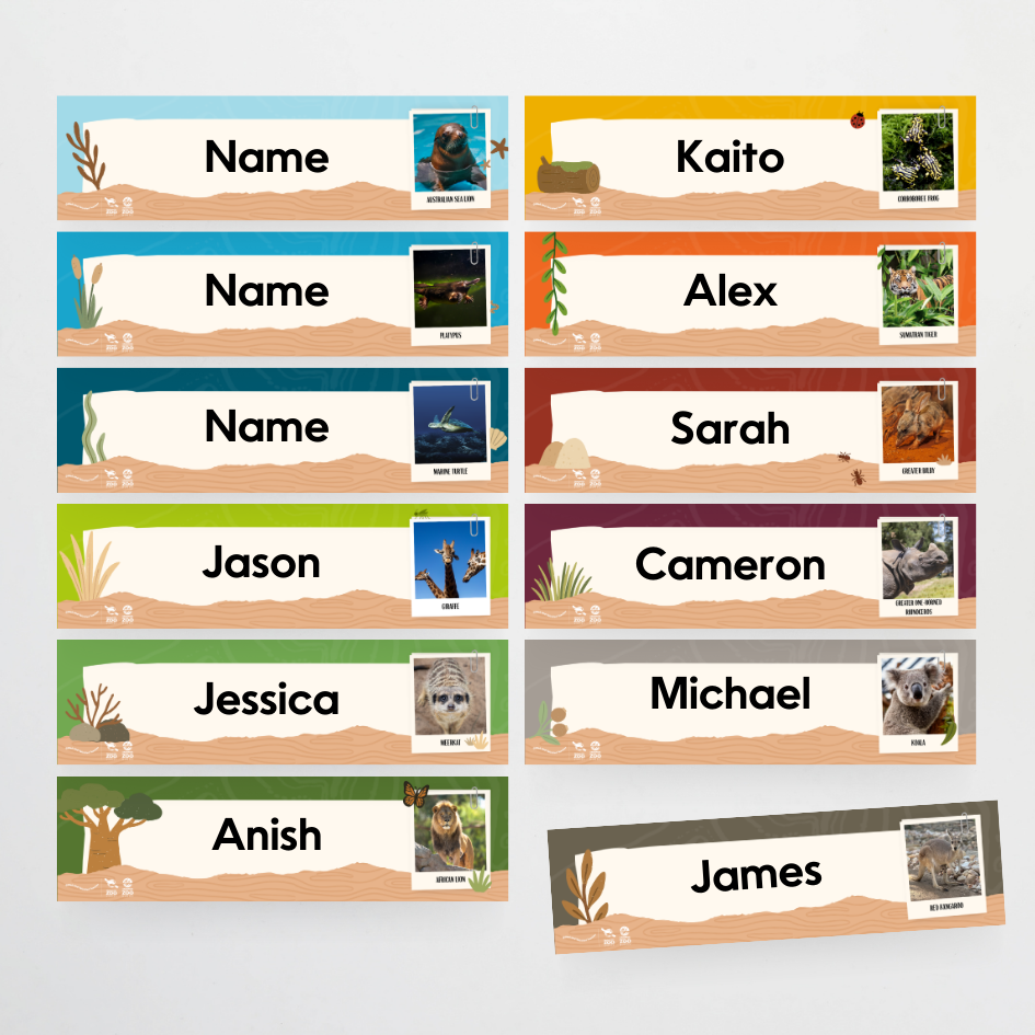 x Taronga Zoo Classroom Decor Bundle - Zoo-Themed Classroom Decor