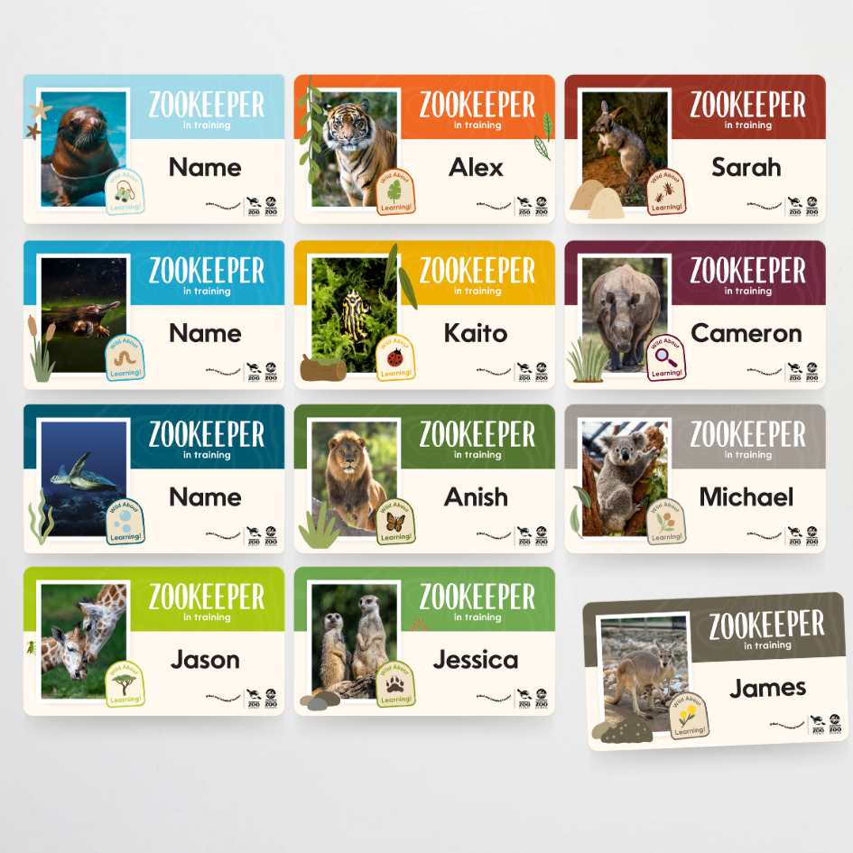 Taronga Zoo: Classroom Door Display - Taronga Zoo Classroom Decor - Teacher Resources & Classroom Decor