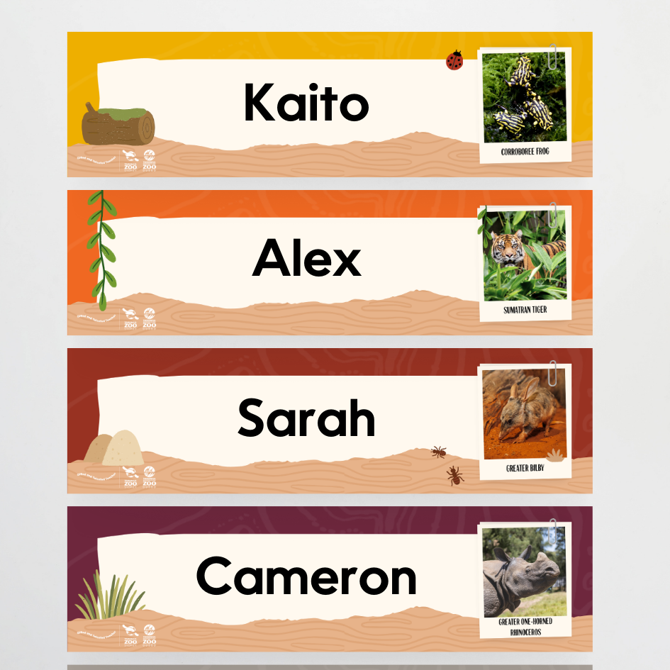 Taronga Zoo: Tote Tray Labels - Taronga Zoo Classroom Decor - Teacher Resources & Classroom Decor