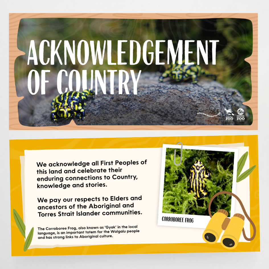 x Taronga Zoo Classroom Decor Bundle - Zoo-Themed Classroom Decor