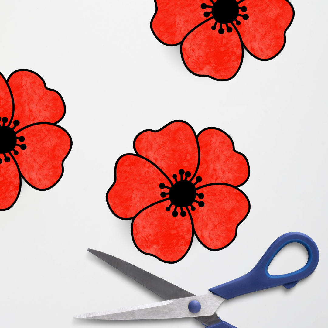 Anzac Day: Poppy Colouring In