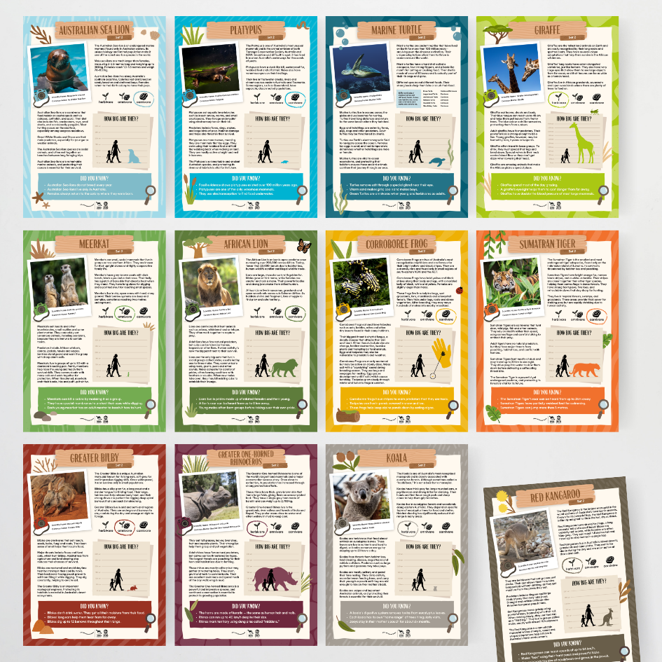 x Taronga Zoo Classroom Decor Bundle - Zoo-Themed Classroom Decor