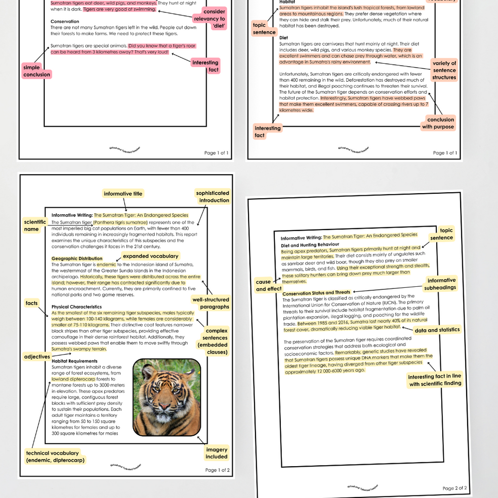 Year 5 and Year 6 - Informative Text: Level Up, Bump it Up, WAGOLL
