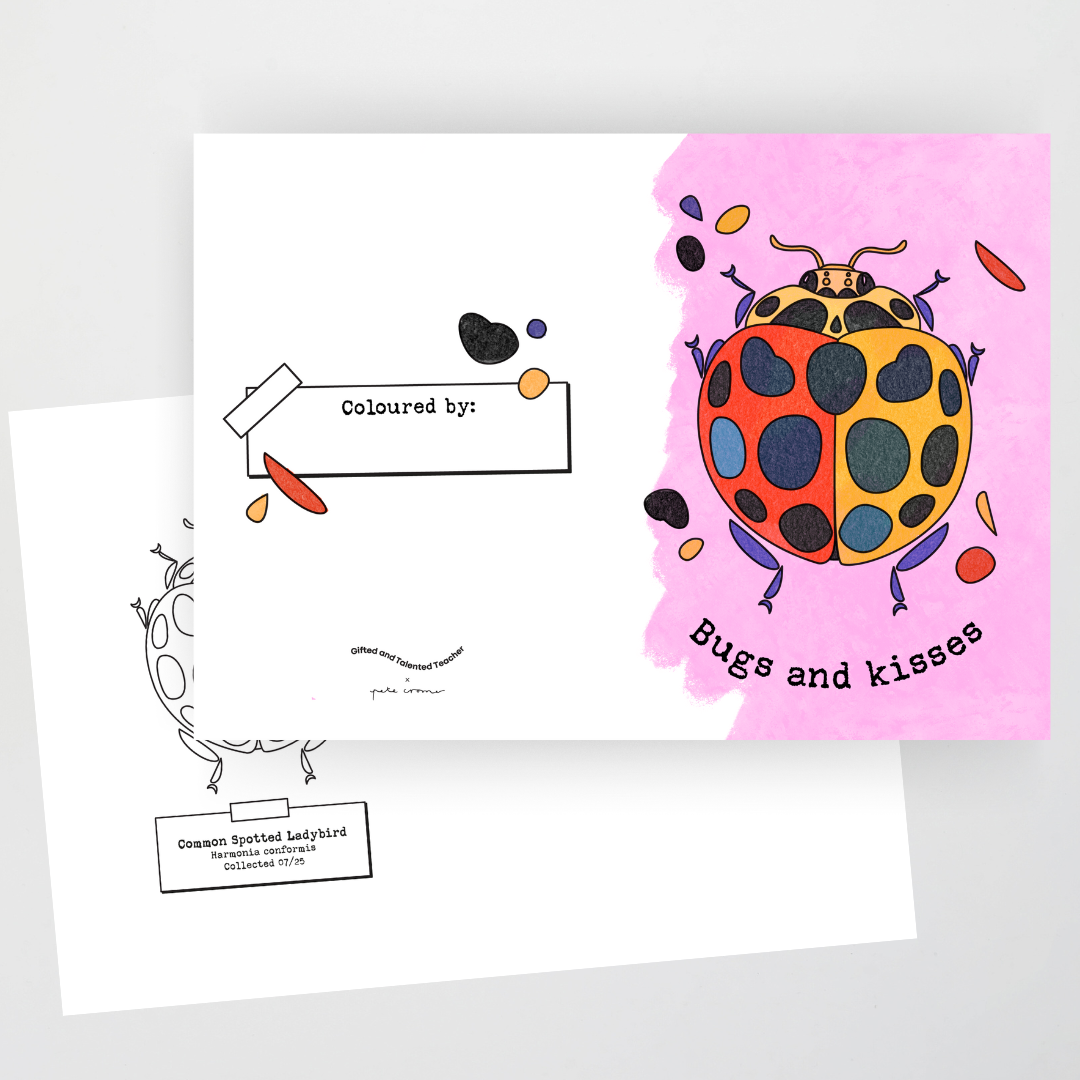 Pun Cards for any occasion - Insect Life Collection