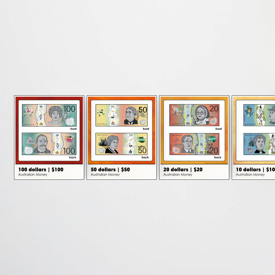 Australian Money Posters -  Insect Life Classroom Decor