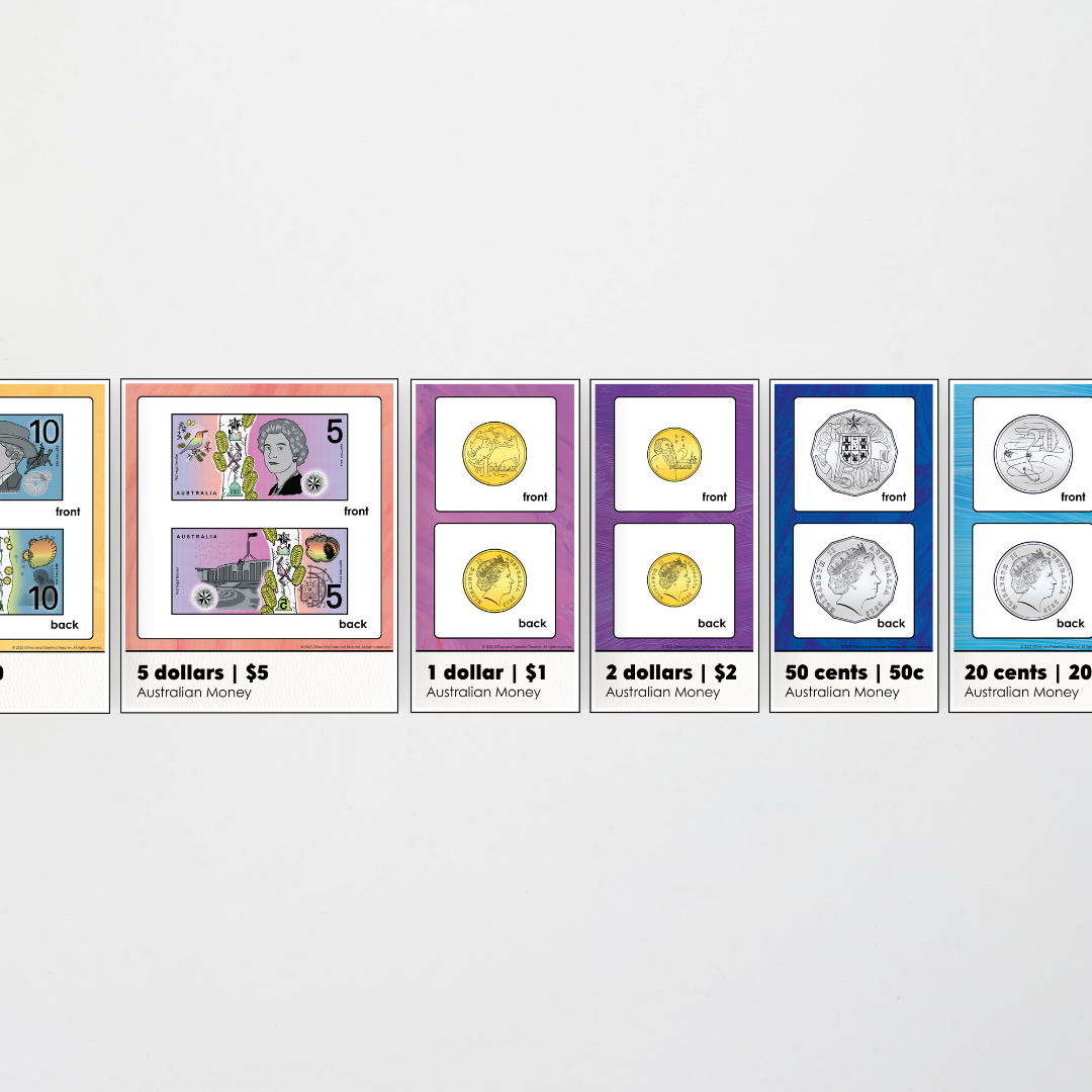 Australian Money Posters -  Insect Life Classroom Decor