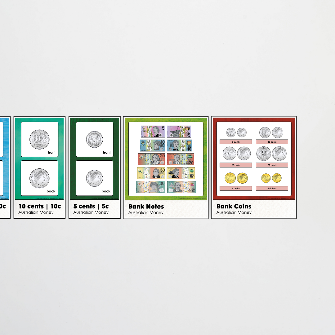 Australian Money Posters -  Insect Life Classroom Decor