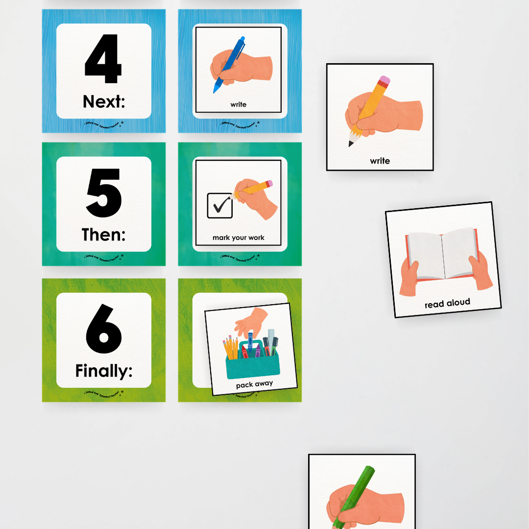 First Next Then Instructional Icons Classroom Display - Insect Life Classroom Decor