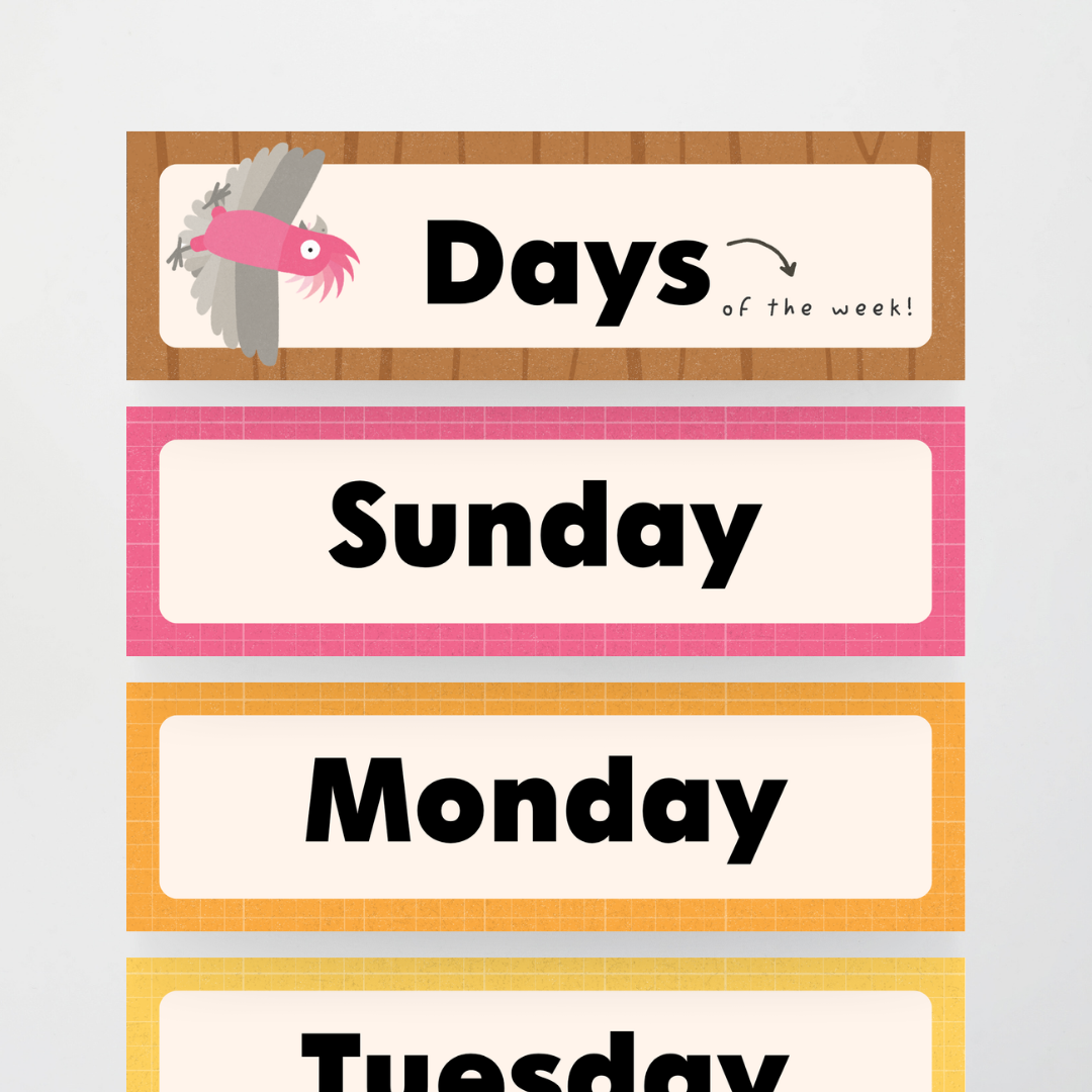 Philip Bunting: Days of the Week - Back to School Classroom Decor