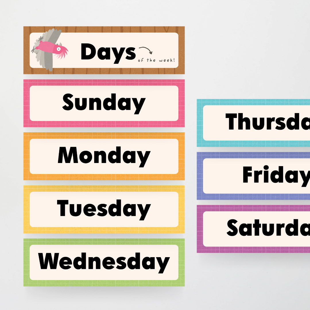 Philip Bunting: Days of the Week - Back to School Classroom Decor