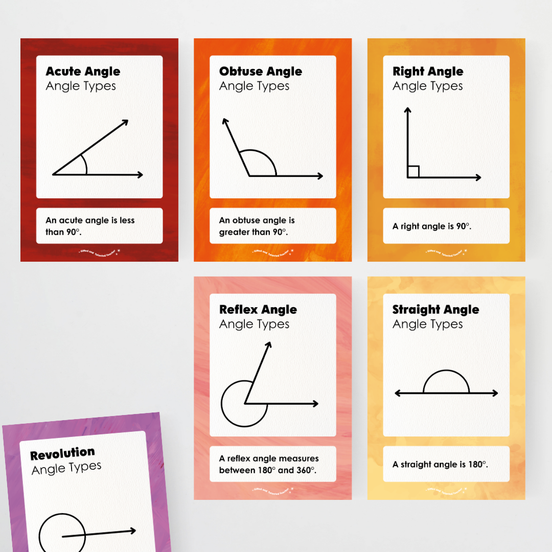 Angle Types Posters - Insect Life Classroom Decor