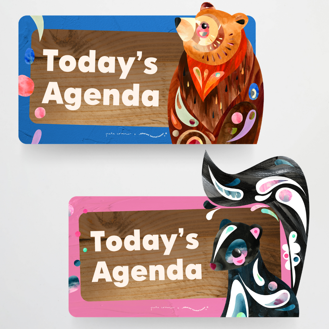 Visual Timetable Daily Schedule - North America Classroom Decor - Teacher Resources & Classroom Decor