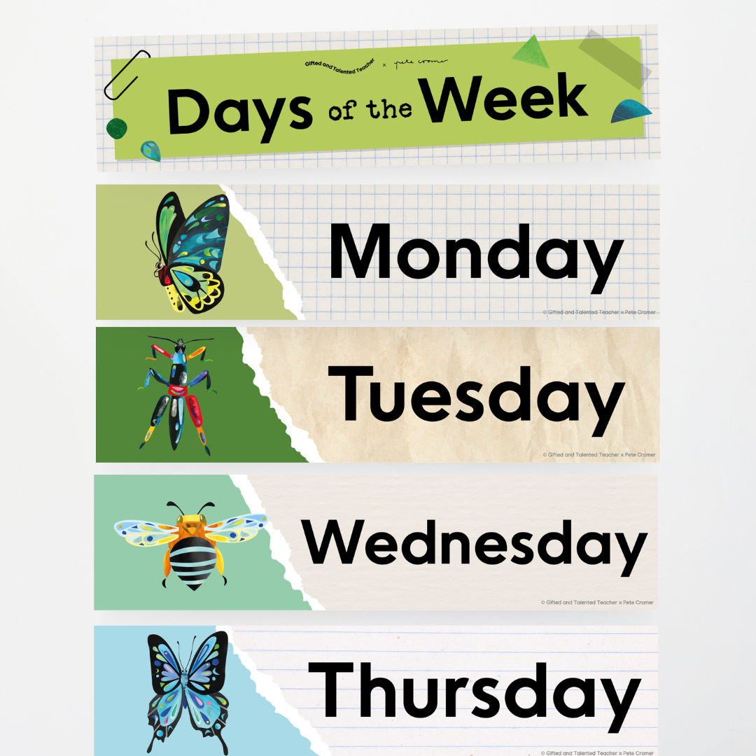 Pete Cromer: Days of the Week - Insect Life Classroom Decor