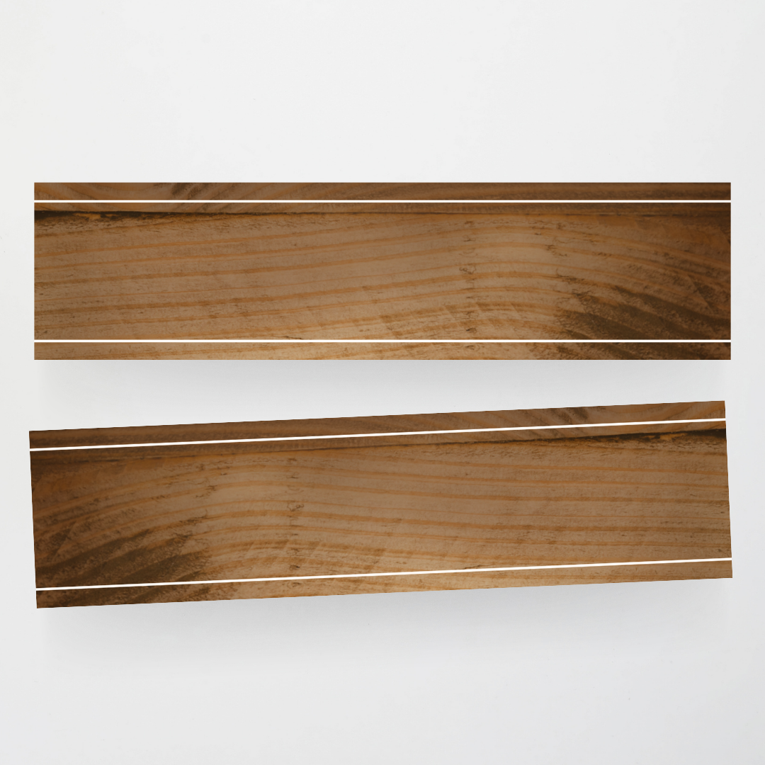 Bulletin Borders: Nature Collection - North America Classroom Decor - Teacher Resources & Classroom Decor
