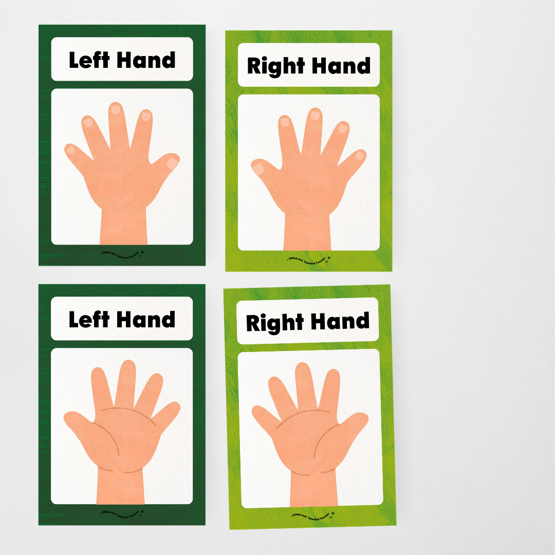 Left Hand and Right Hand Position Classroom Display - Insect Life Classroom Decor - Teacher Resources & Classroom Decor