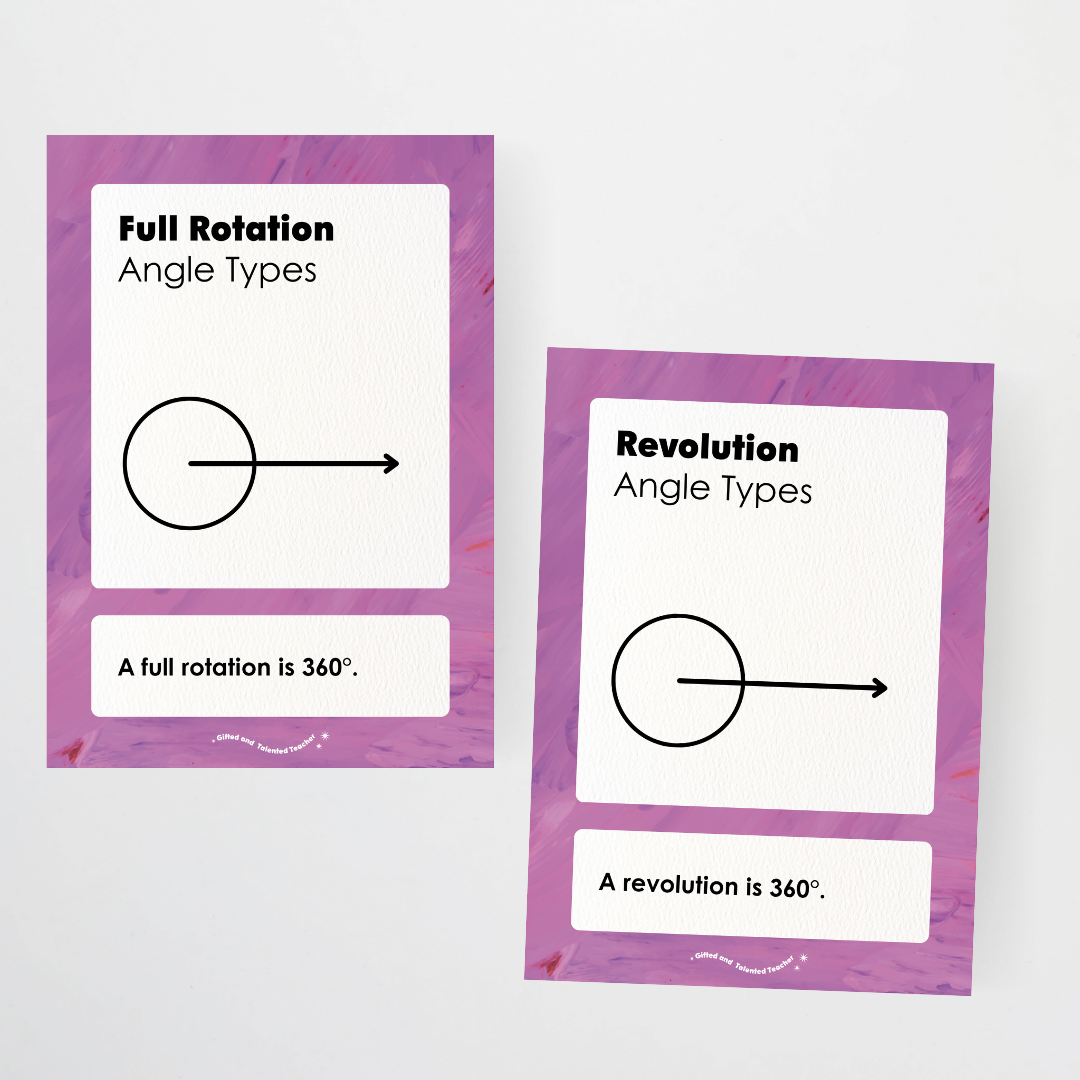 Angle Types Posters - Insect Life Classroom Decor