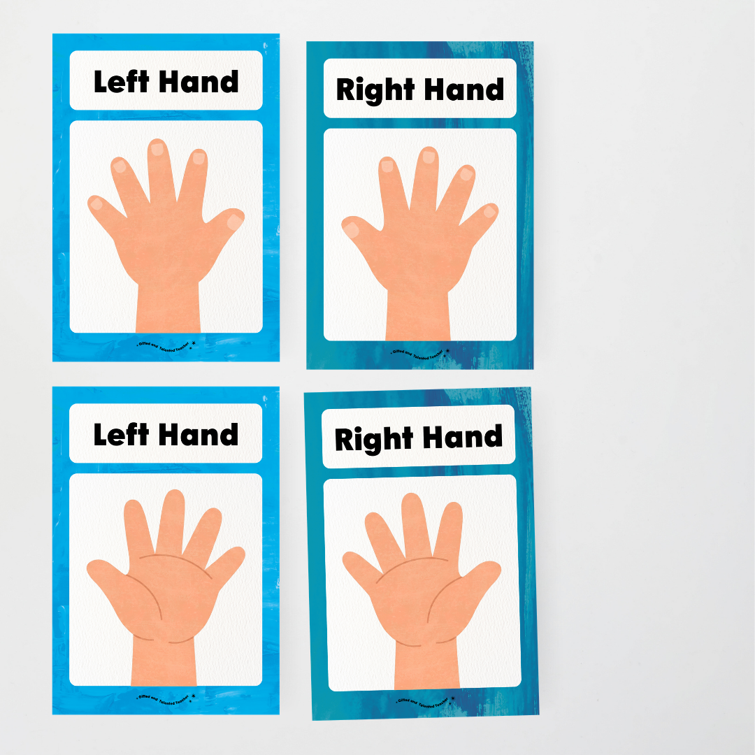 Left Hand and Right Hand Position Classroom Display - Australian Fauna and Flora Classroom Decor - Teacher Resources & Classroom Decor