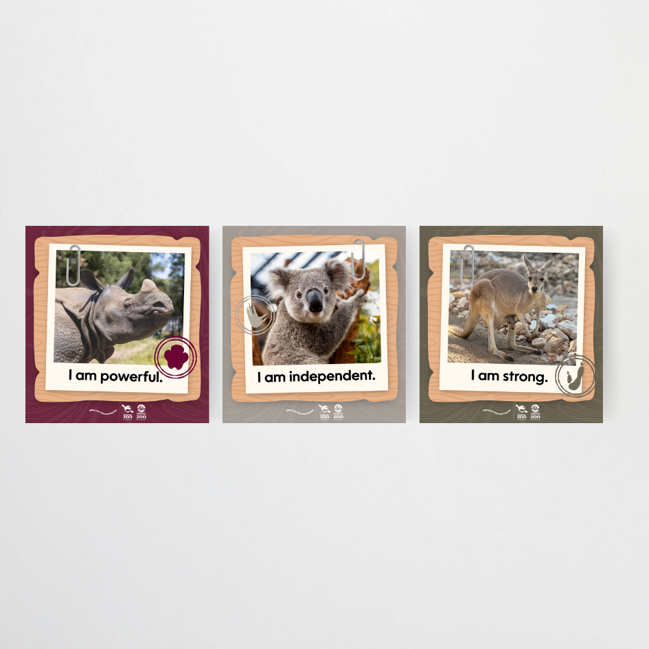 x Taronga Zoo Classroom Decor Bundle - Zoo-Themed Classroom Decor