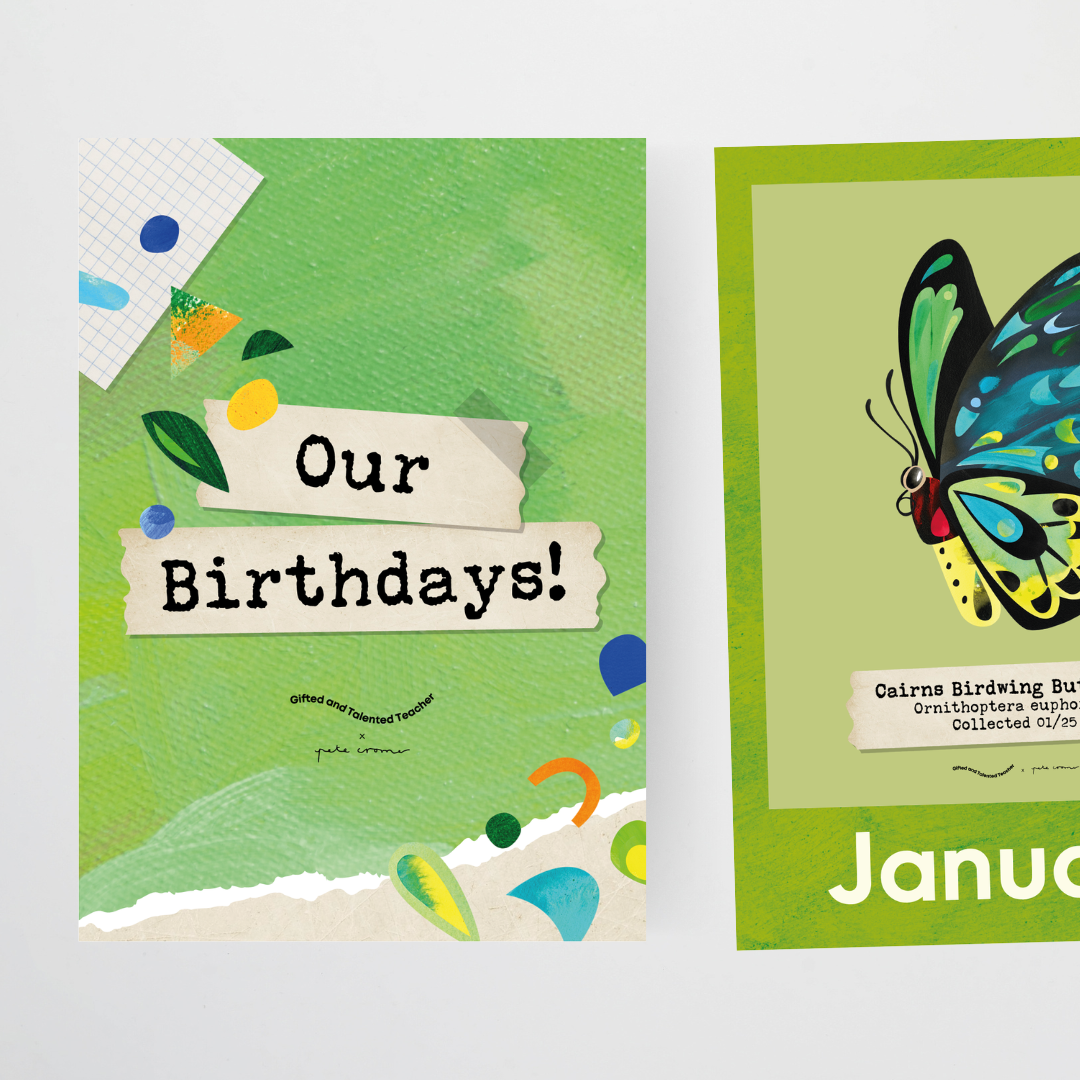 Pete Cromer: Birthday Display - Insect Life Classroom Decor