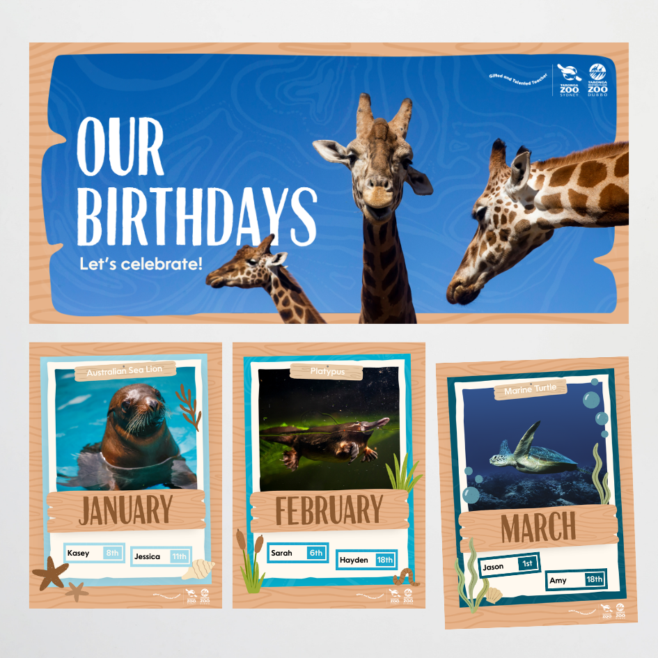 x Taronga Zoo Classroom Decor Bundle - Zoo-Themed Classroom Decor
