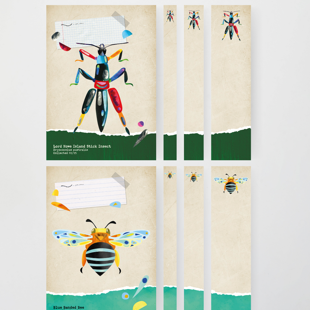 Pete Cromer: Binder Covers - Insect Life Classroom Decor