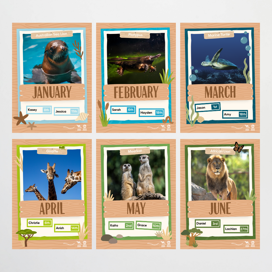 x Taronga Zoo Classroom Decor Bundle - Zoo-Themed Classroom Decor