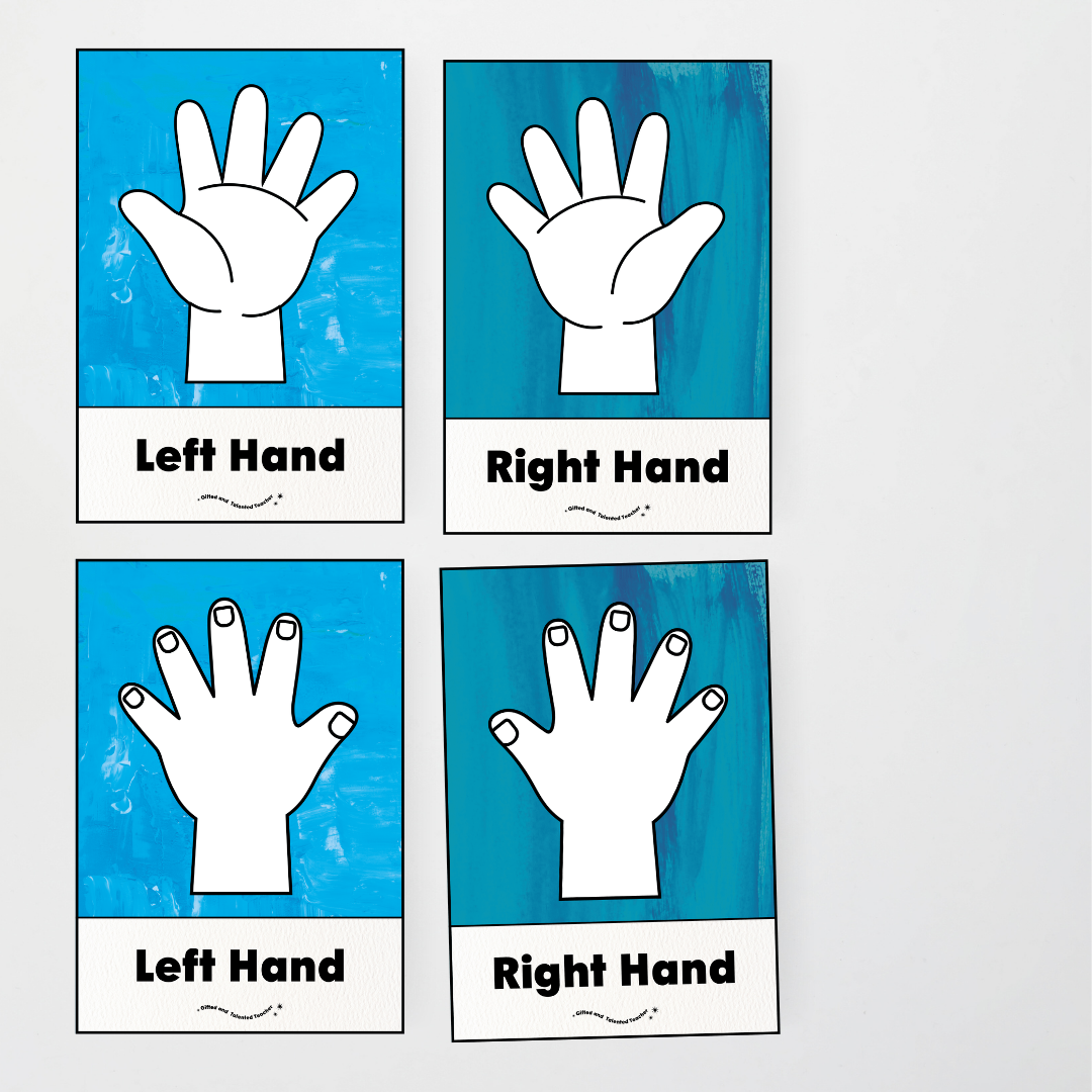 Left Hand and Right Hand Position Classroom Display - Australian Fauna and Flora Classroom Decor - Teacher Resources & Classroom Decor