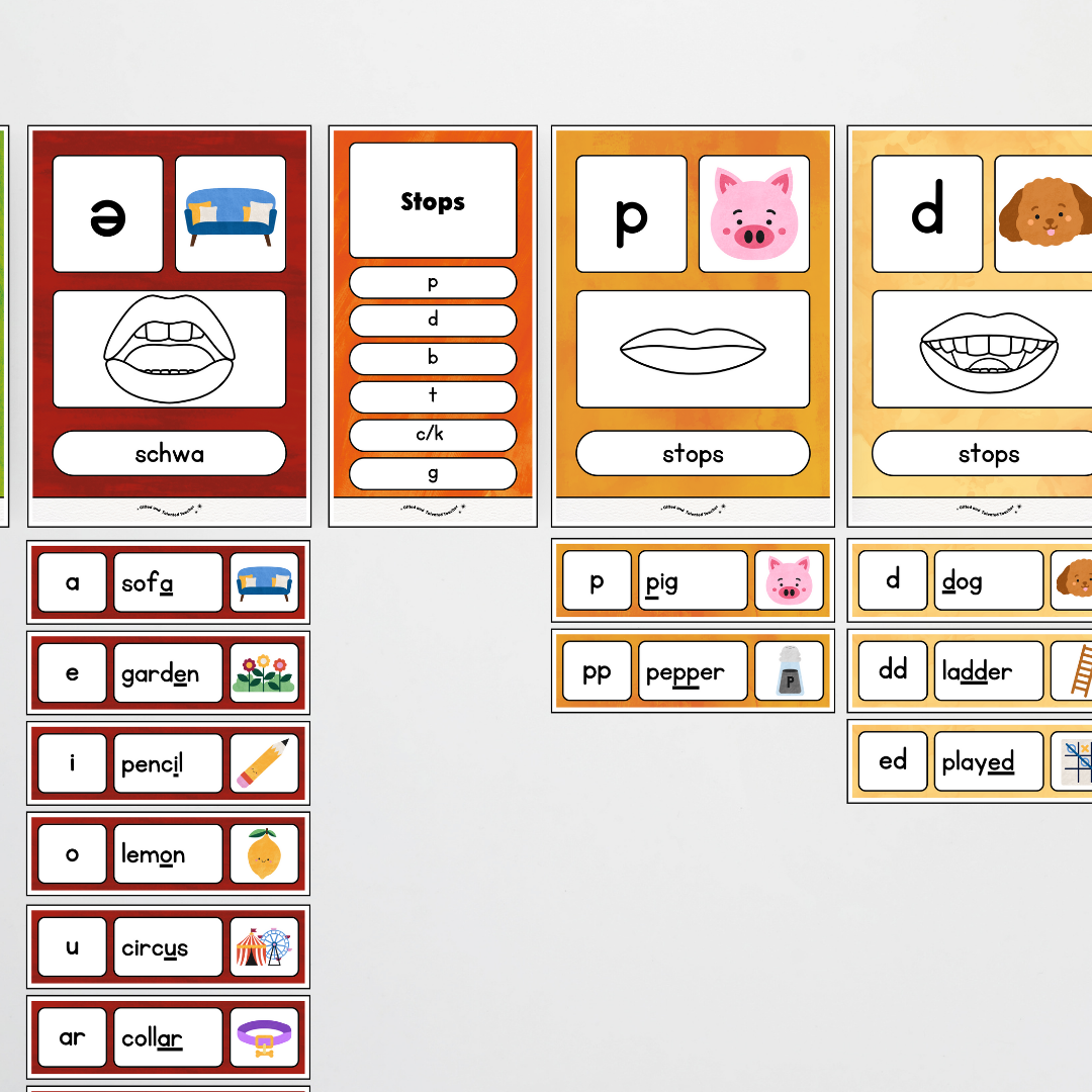 Sound Wall with Mouth Articulation - Insect Life Classroom Decor