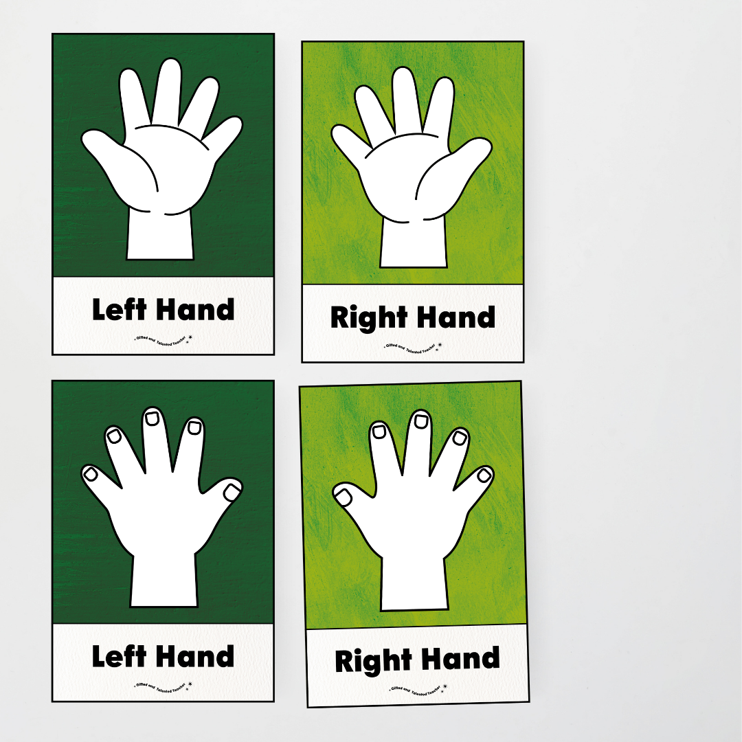 Left Hand and Right Hand Position Classroom Display - Insect Life Classroom Decor - Teacher Resources & Classroom Decor