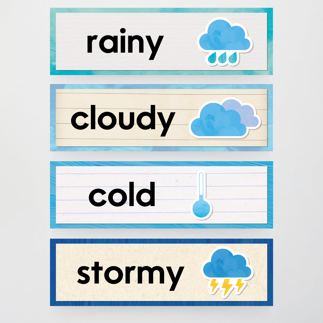 Pete Cromer: Weather Display - Insect Life Classroom Decor