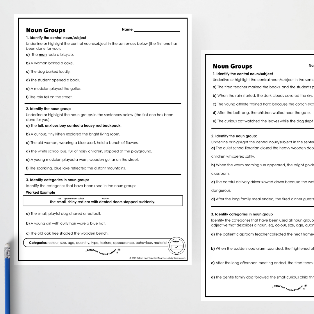 Year 5: Noun Groups Activity and Teacher Resource