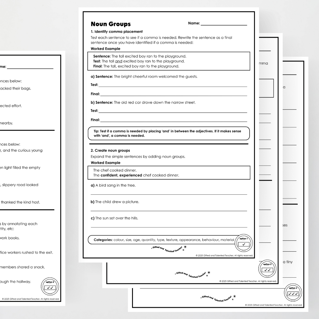 Year 5: Noun Groups Activity and Teacher Resource
