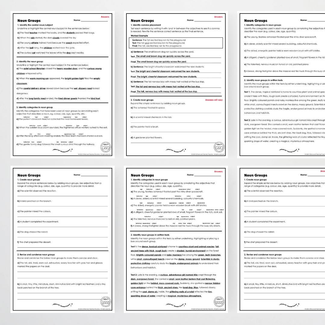 Year 5: Noun Groups Activity and Teacher Resource