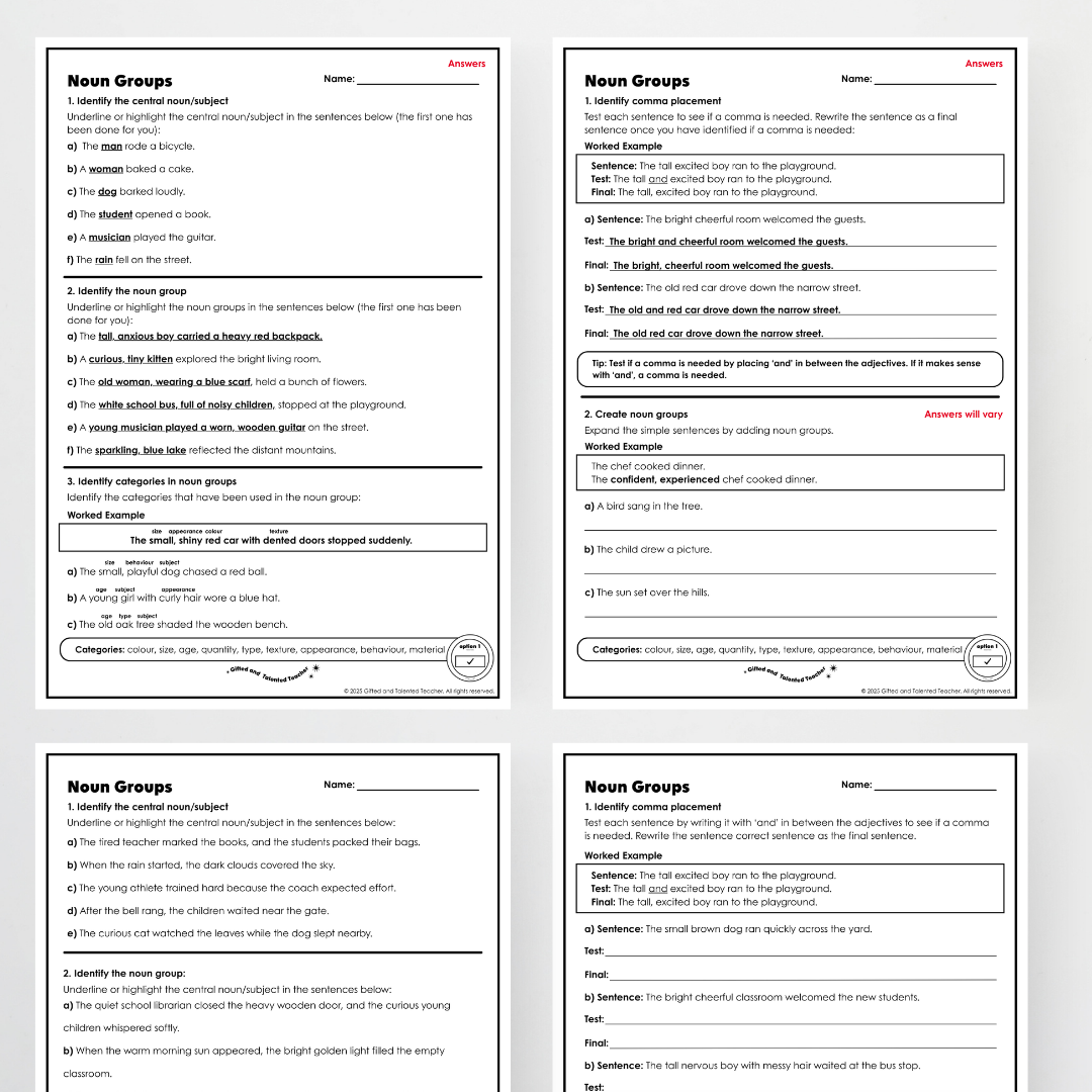 Year 5: Noun Groups Activity and Teacher Resource