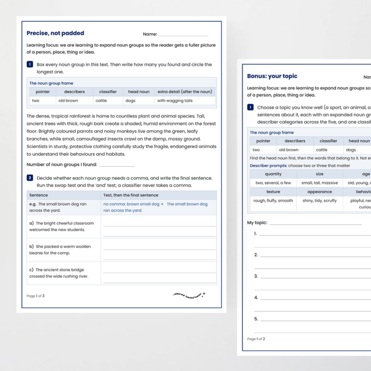 Student activity 2 – Noun Groups