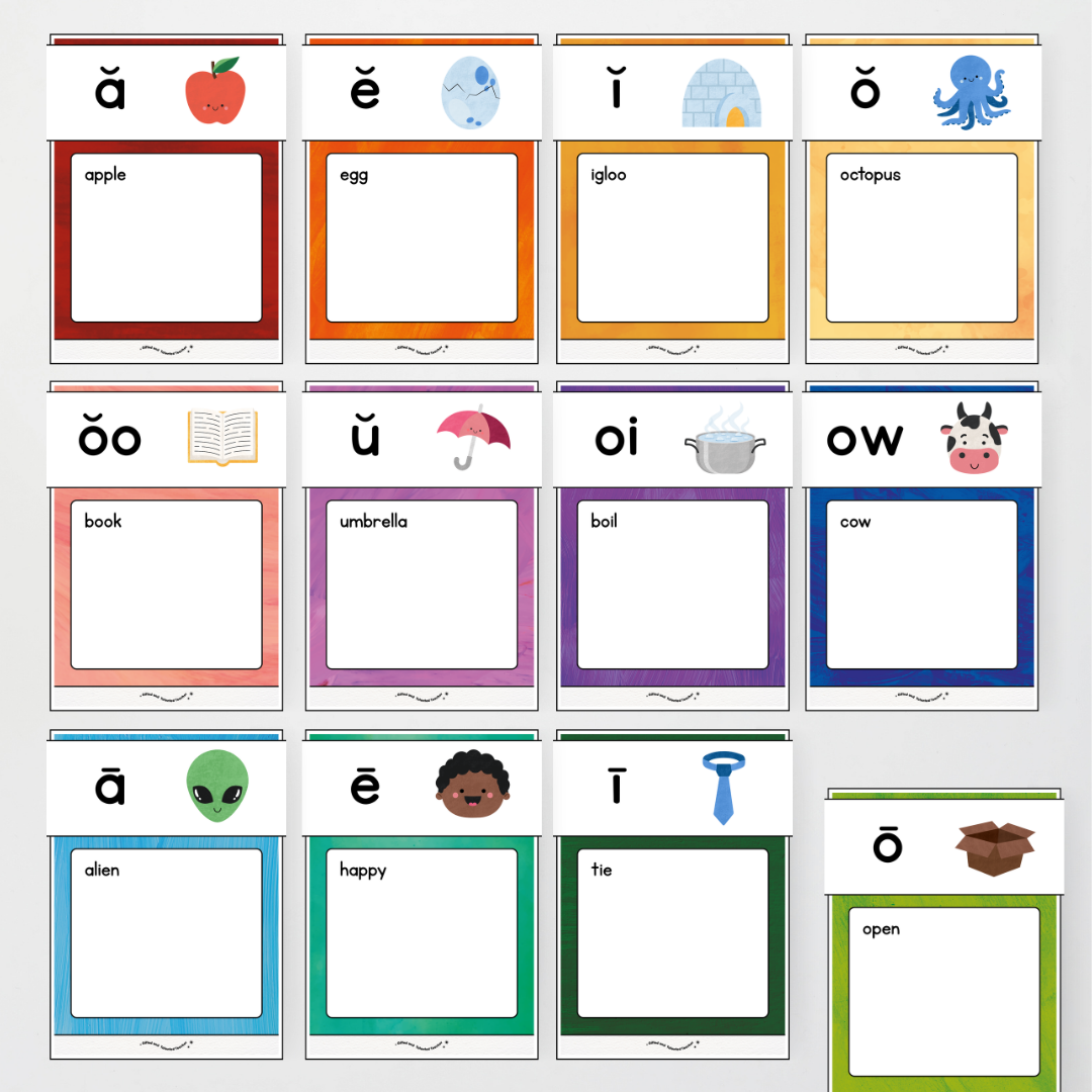 Phonics Word Wall and Sound Wall Science of Reading Aligned - Insect Life Classroom Decor - Teacher Resources & Classroom Decor