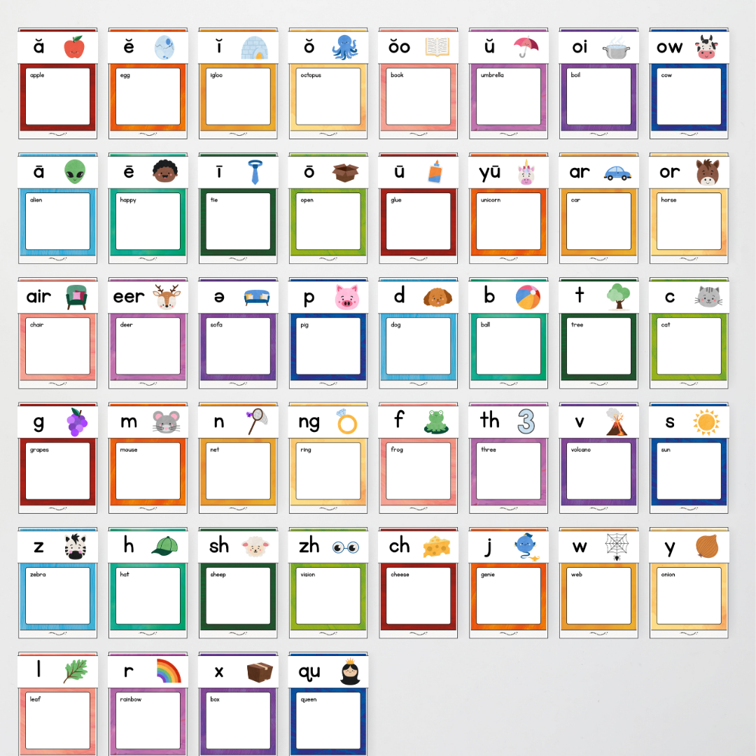 Phonics Word Wall and Sound Wall Science of Reading Aligned - Insect Life Classroom Decor - Teacher Resources & Classroom Decor