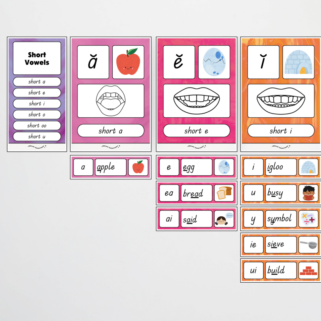 Sound Wall with Mouth Articulation - Australian Fauna and Flora Classroom Decor