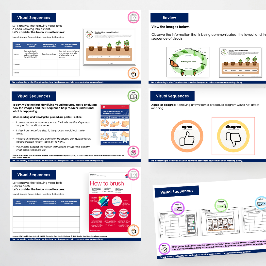 Year 6 Bundle: Visual Elements in Text - Lesson Plan, Slides and Activities