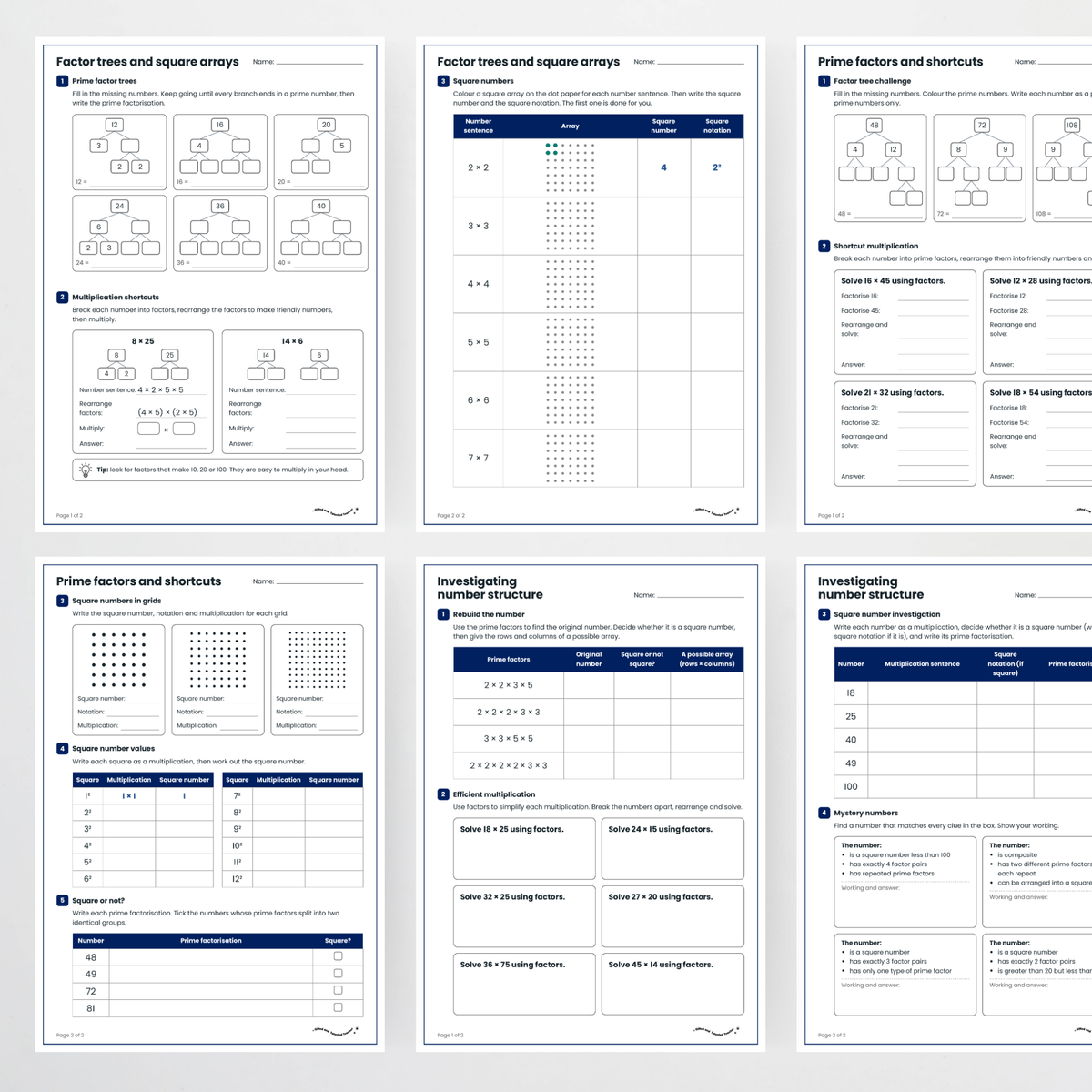 Student activity pages – Factors, Prime Factors and Square Numbers