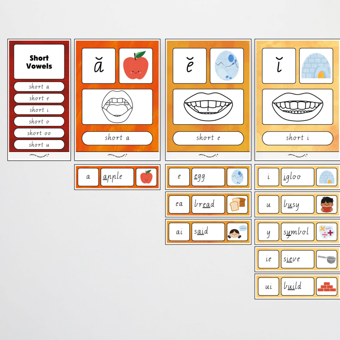 Sound Wall with Mouth Articulation - Insect Life Classroom Decor