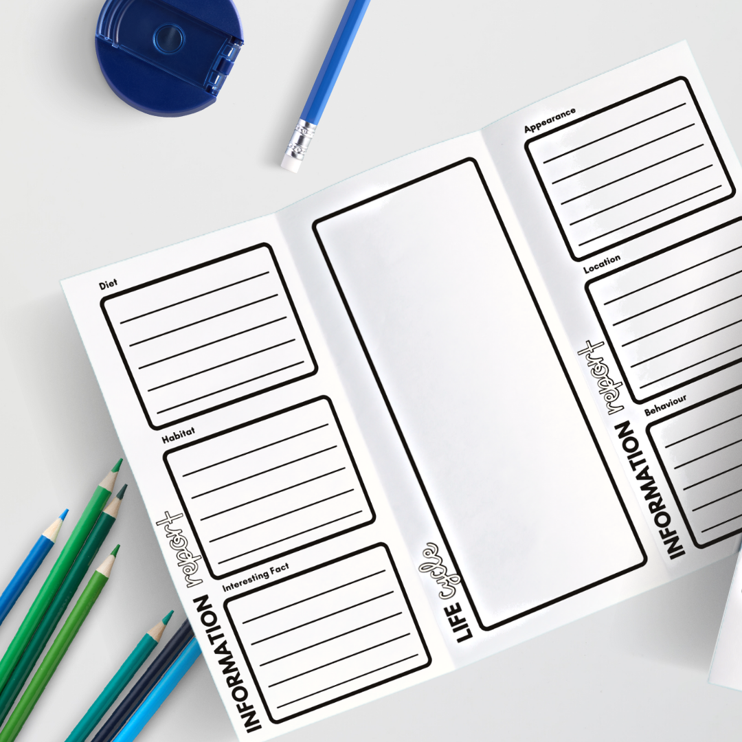 Information Report: TriFold Animal & Insect options | Teacher Resource