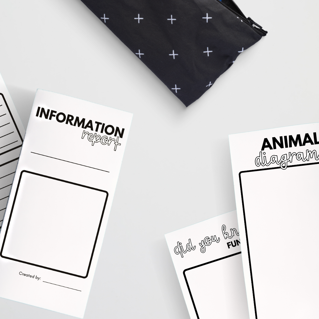 Information Report: TriFold - Animal and insect options - Gifted and Talented Teacher