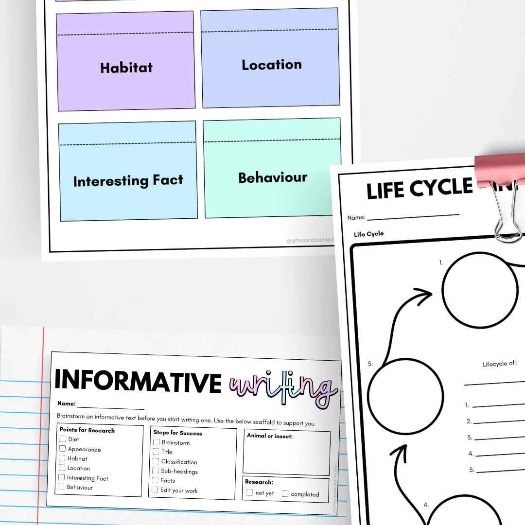 Informative Writing Pack + Trifold Bundle - Gifted and Talented Teacher